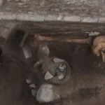 Los arqueólogos hallan en México un antiguo altar rodeado de cráneos decapitados: «Hay marcas de corte en los huesos»