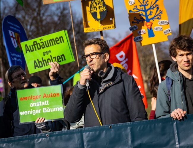 Un árbol cada 15 metros: cómo Berlín se prepara para hacer frente al cambio climático