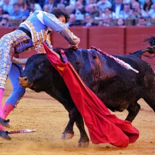 Roca Rey, herido grave en Sevilla