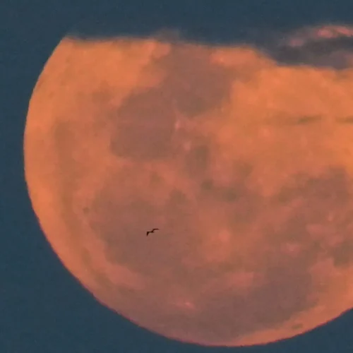 La Luna se sonroja por una noche: así se vivió la Superluna de abril en el mundo