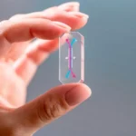 La nave Orion ‘esconde’ chips claves para la humanidad: desde monitorizar la salud en el espacio a estudiar los efectos del cáncer