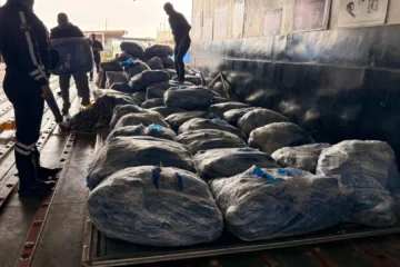 Decomisan en Ecuador cerca de 22.000 aletas de tiburón que iban a ser enviadas a Malasia