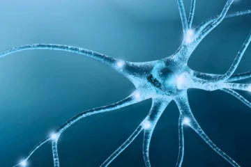 Una técnica española permite estudiar por primera vez neuronas implicadas en trastornos como la esquizofrenia o el autismo