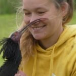 De seguir a un ultraligero a morir a manos de un búho: el duro aprendizaje del ibis para migrar