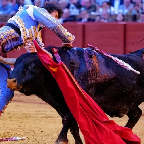 Un toro cornea a Roca Rey y lo hiere gravemente en Sevilla