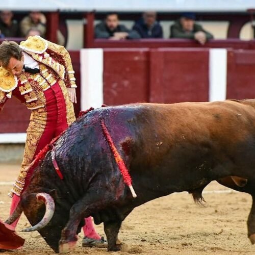 Un gran toro para un buen Román, culmen de una boyante corrida de Mayalde en Las Ventas