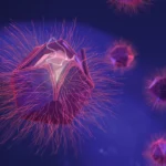 Descubren un nuevo virus gigante que se replica de una forma nunca antes vista