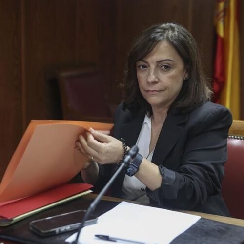 El juez Pedraz cita a declarar como imputada el 9 de septiembre a la gerente del PSOE por el caso de las cloacas de Ferraz