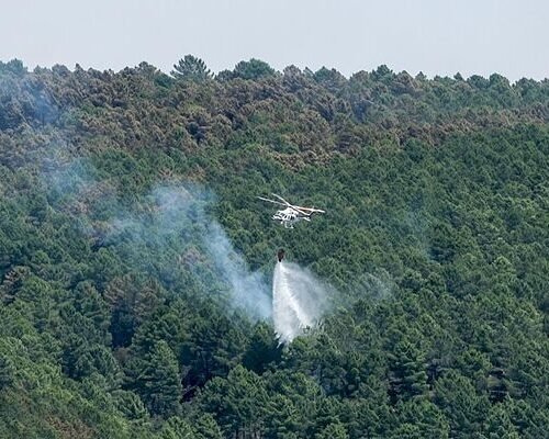 Incendios hoy en España, última hora en directo | Ya son 15 los pueblos desalojados por el incendio en La Mierla (Guadalajara) mientras el fuego en Orés (Zaragoza) deja de avanzar