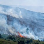 El incendio de La Mierla (Guadalajara) frena su avance a Soria y afecta ya a unas 29.000 hectáreas