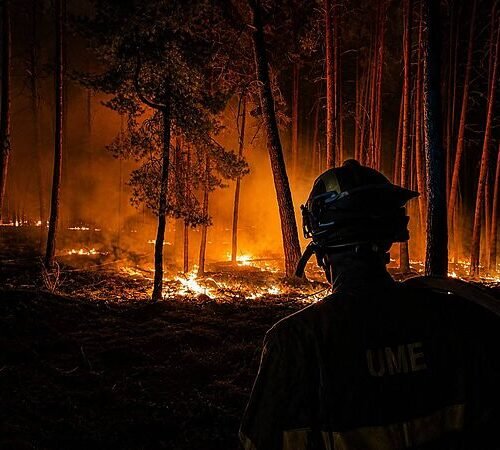 90.000 hectáreas arrasadas por los incendios en España: nuevos evacuados en Guadalajara, mientras efectivos combaten el fuego en Huelva y Teruel