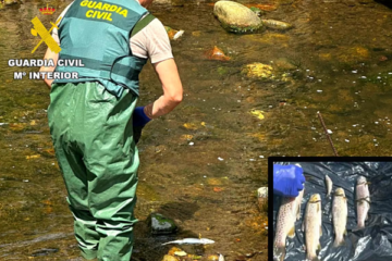 Investigan a un ganadero por un vertido de purines que afectó a los ríos Pisueña y Llerana (Cantabria) y mató a 2.100 peces