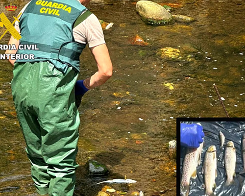 Investigan a un ganadero por un vertido de purines que afectó a los ríos Pisueña y Llerana (Cantabria) y mató a 2.100 peces