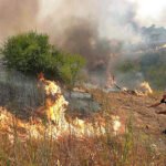 Fuegos inextinguibles ponen Madrid en emergencia nacional