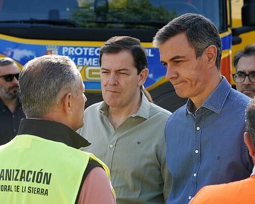 El Gobierno declarará las zonas arrasadas por los incendios como gravemente afectadas