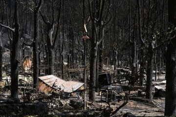Incendios en Madrid y resto de España, última hora de hoy, en directo | El incendio de Ávila ha quemado 50.000 hectáreas, el mayor fuego de la historia de España