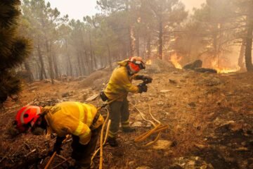 Incendios en Madrid, Vall d’Uixó y resto de España, última hora, en directo | El fuego fuerza a evacuar Valdemaqueda y Ayuso dice que «el incendio de Ávila nos está complicando el pantano de San Juan»