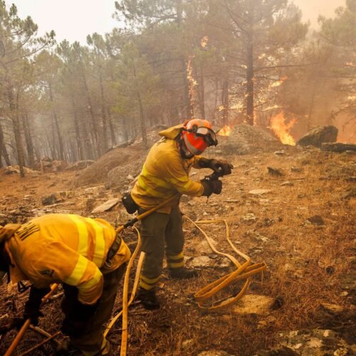 Incendios en Madrid, Vall d’Uixó y resto de España, última hora, en directo | El fuego fuerza a evacuar Valdemaqueda y Ayuso dice que «el incendio de Ávila nos está complicando el pantano de San Juan»