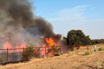 Incendios en Madrid, Vall d’Uixó y resto de España, última hora, en directo | Sánchez: «Podemos empezar a ver el final del túnel en la lucha contra los incendios»