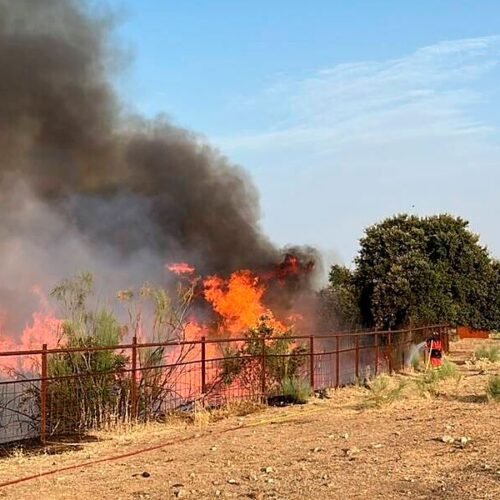 Incendios en Madrid, Vall d’Uixó y resto de España, última hora, en directo | Sánchez: «Podemos empezar a ver el final del túnel en la lucha contra los incendios»