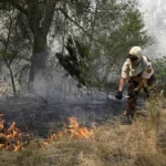 Incendios en Madrid, Vall d’Uixó y resto de España, última hora, en directo | El incendio que afecta a Madrid, Ávila y Toledo mantiene estable su perímetro durante 24 horas por primera vez desde el inicio de la emergencia