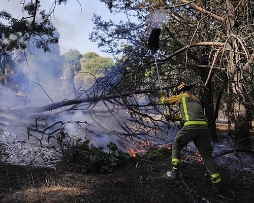 Incendios en Madrid, Vall d’Uixó y resto de España, última hora, en directo | El incendio en Madrid  y Ávila se mantiene sin reproducciones antes de la nueva ola de calor