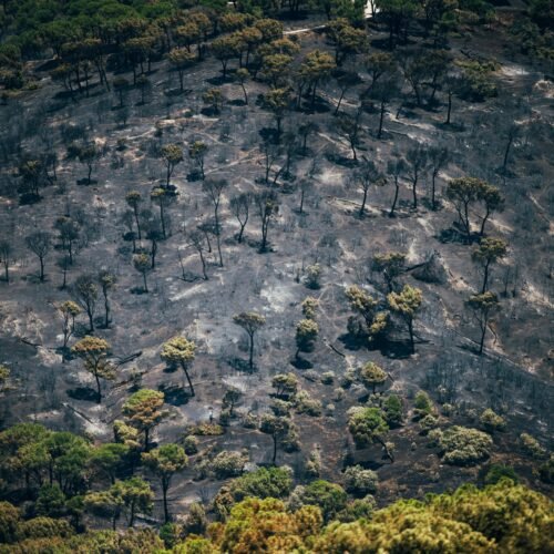 Olas de calor inéditas y el cambio de nuestra relación con el campo: el cóctel tras los incendios que asolan España