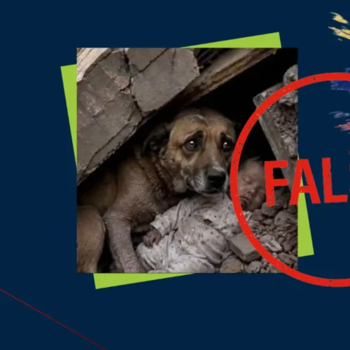Esta imagen de un perro protegiendo a un bebé entre los escombros tras los terremotos de Venezuela no es real