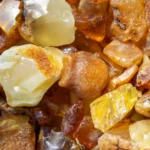 Hallan en China el ámbar más antiguo jamás conocido: tiene 385 millones de años