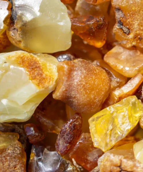 Hallan en China el ámbar más antiguo jamás conocido: tiene 385 millones de años