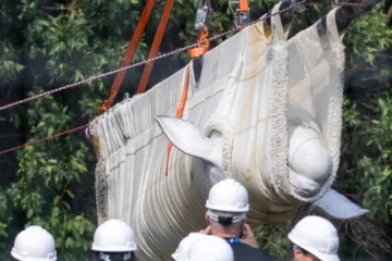EEUU recibe las primeras seis belugas del clausurado parque canadiense Marineland