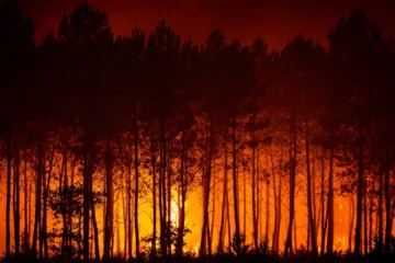 La subida de las temperaturas pone a prueba la lucha contra el gran incendio del suroeste de Francia, que calcina ya 42.000 hectáreas