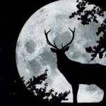 Luna del Ciervo 2026: cómo y cuando ver este fenómeno astronómico de julio