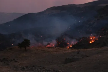 Mueren tres bomberos forestales luchando contra las llamas en Grecia, donde el fuego sigue fuera de control
