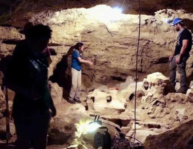 Descubren en Ciudad Real un fragmento de cráneo humano de más de 200.000 años