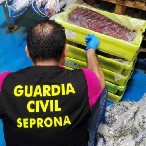 Las otras amenazas alimentarias que vigila la UE: contrabando de carne de primate, atún adulterado, parásitos de mapache…