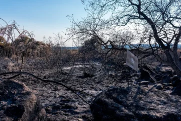 Testigo directo: las terribles huellas del fuego y un mar de cenizas en la M-501 de Madrid