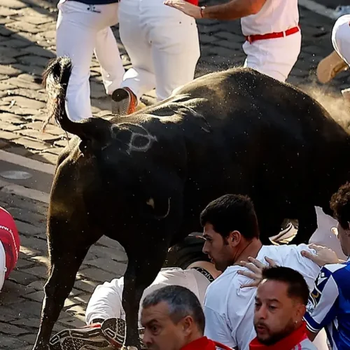 El octavo y último encierro de San Fermín con toros de Jandilla deja tres cornadas