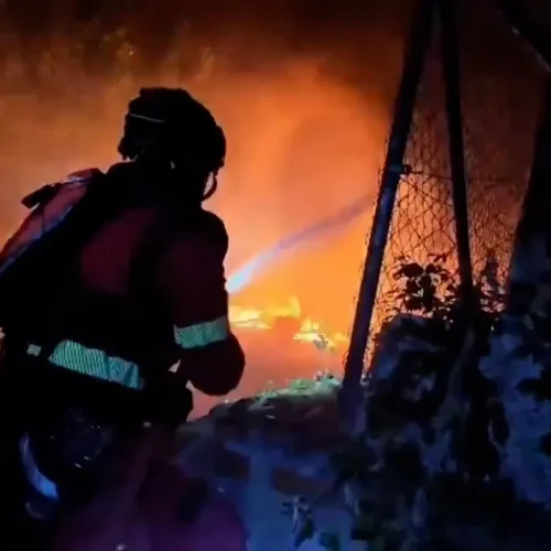 La UME trabaja sin descanso en el incendio de Pelayos de la Presa (Madrid)
