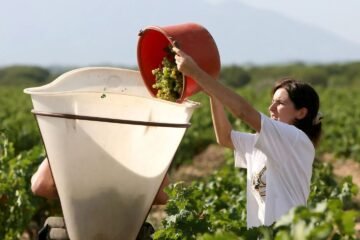 Marifé trabaja como agricultora en un pueblo: «Vivimos un cambio climático, no tenemos temperaturas medias»