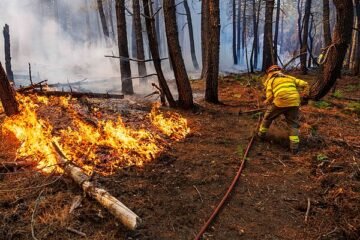 Los expertos urgen a alcanzar un Pacto de Estado contra incendios: «No es cuestión de ser de derechas o de izquierdas, nuestro futuro depende de ese acuerdo»
