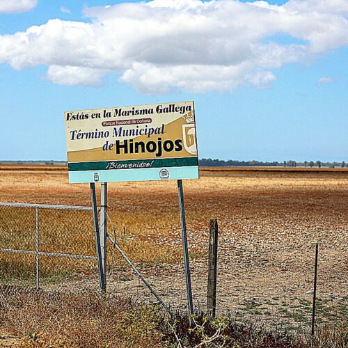El pueblo que lucha contra el Ministerio para salvar Doñana