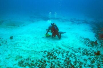 Muere un joven submarinista de 20 años en las costas de Tenerife mientras practicaba buceo a pulmón