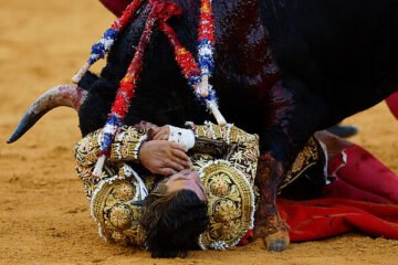 Morante vuelve a nacer entre la incomprensión; triunfan Roca Rey y David de Miranda en Málaga