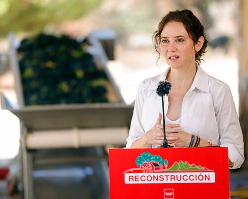 Ayuso recalca que ya ha «dicho todo» sobre el ático y zanja el asunto: «Está en venta, chao pescao»