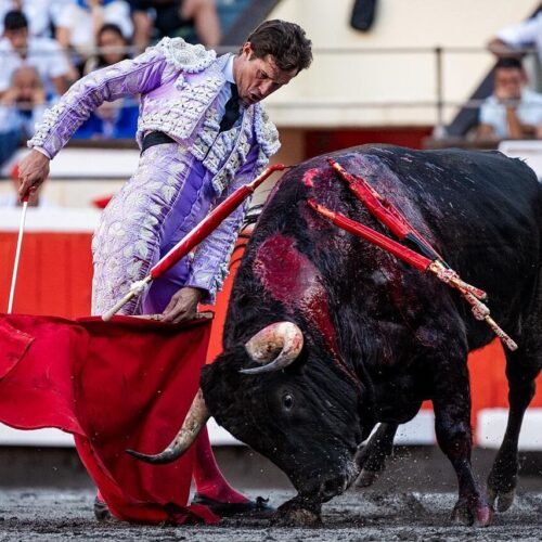 Daniel Luque dicta un tratado de perfección en Bilbao