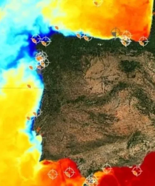 La temperatura de la superficie del mar en julio ha sido la más alta para ese mes