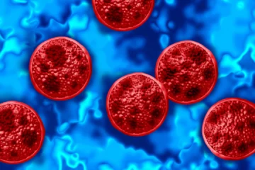 EEUU registra las dos primeras muertes por el brote de diarrea explosiva, que deja 11.000 casos tras consumir lechuga contaminada