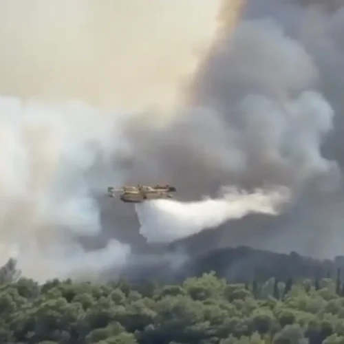Un coche en llamas provoca un incendio forestal y obliga a evacuar a un centenar de personas en el sur de Francia
