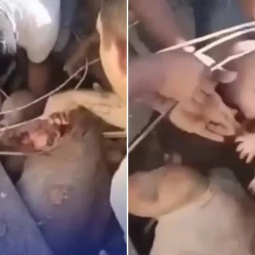 Rescatan a un bebé de meses de los escombros en un edificio de Cali derribado por el terremoto en Colombia